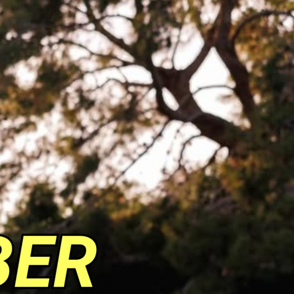 Latest photo of Justin Bieber