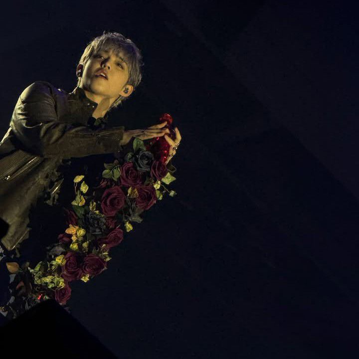 세븐틴의 비하인드 컷