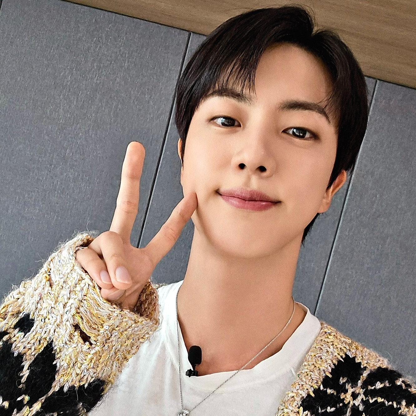 진 (방탄소년단) 팬이 찍은 순간