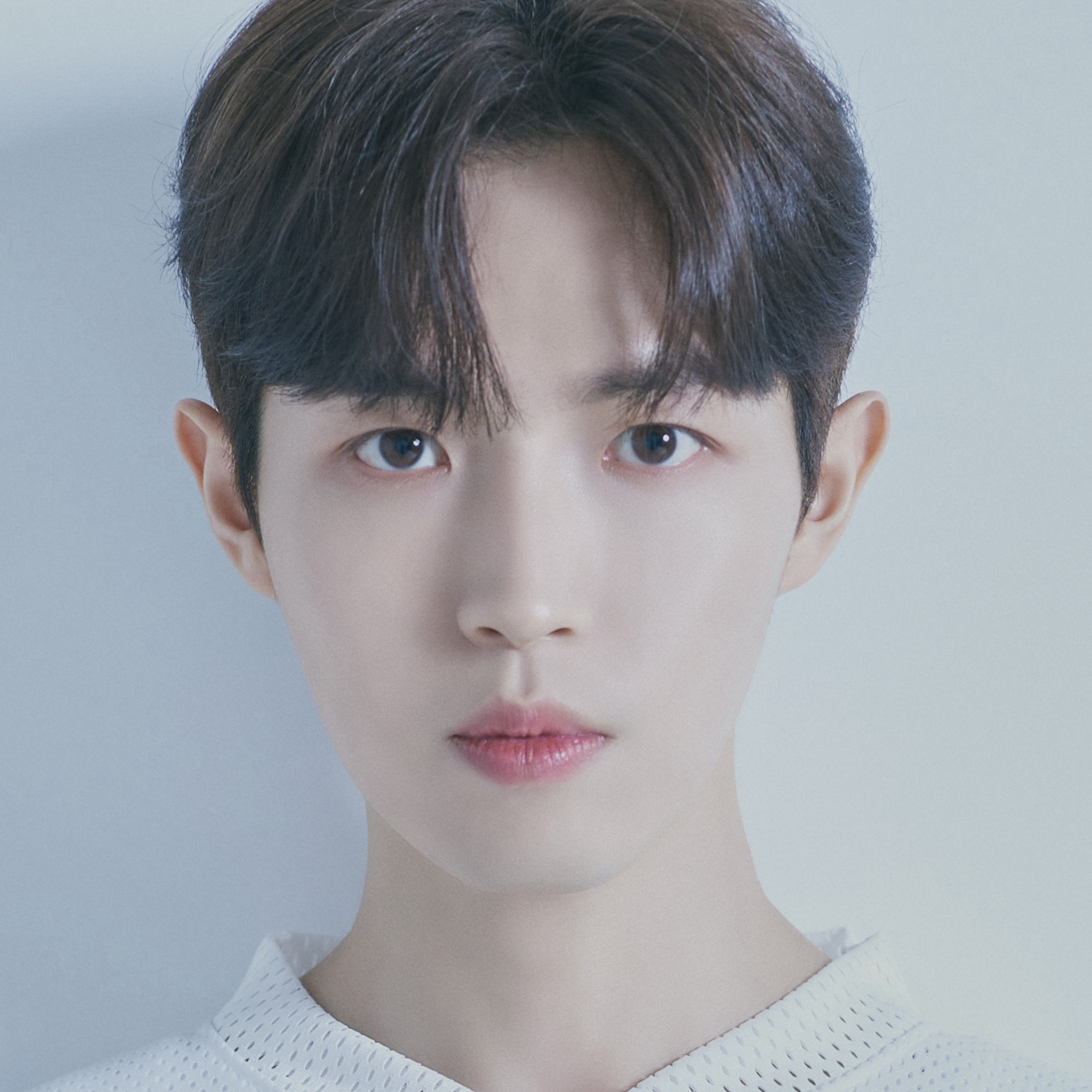 キム・ジェファンファンが撮った瞬間