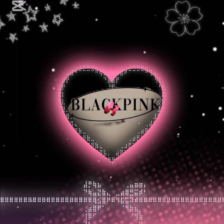 BLACKPINK의 최신 사진