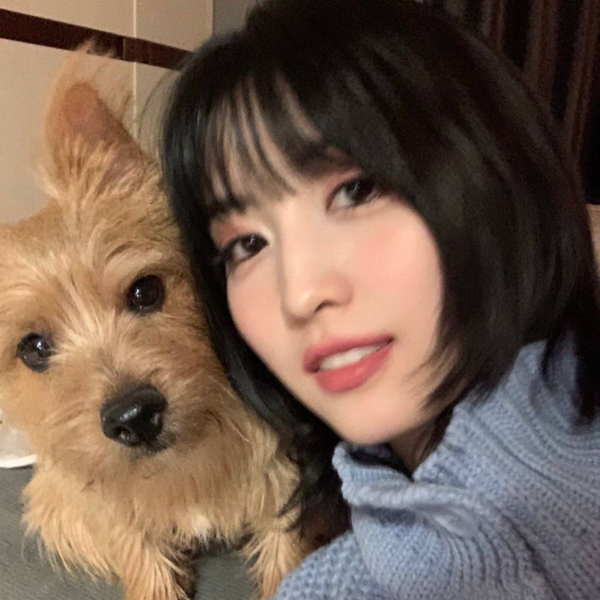 Popular profile image of Momo (TWICE) selected by votes