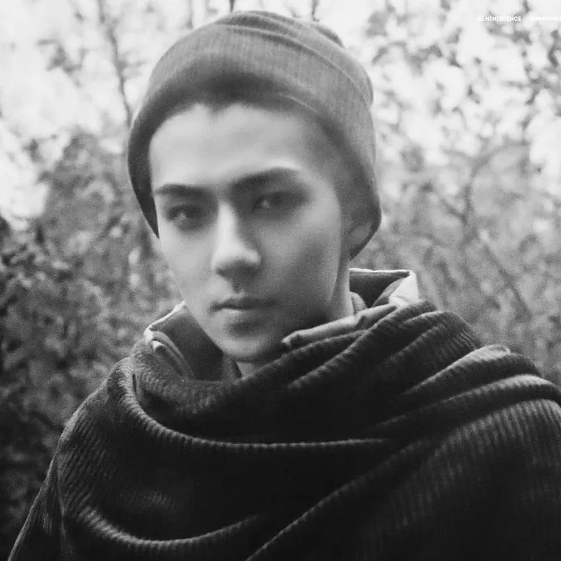 世勋 (EXO)的最新照片