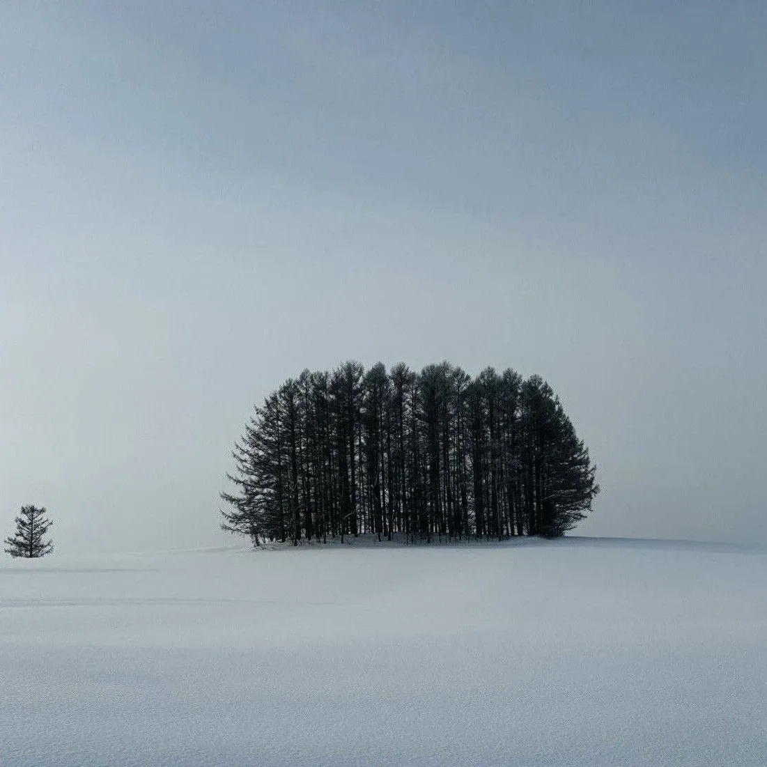 디오 (EXO)의 최신 사진