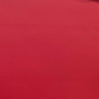 A moment captured by Nishihata Daigo (Naniwa Danshi)'s fan