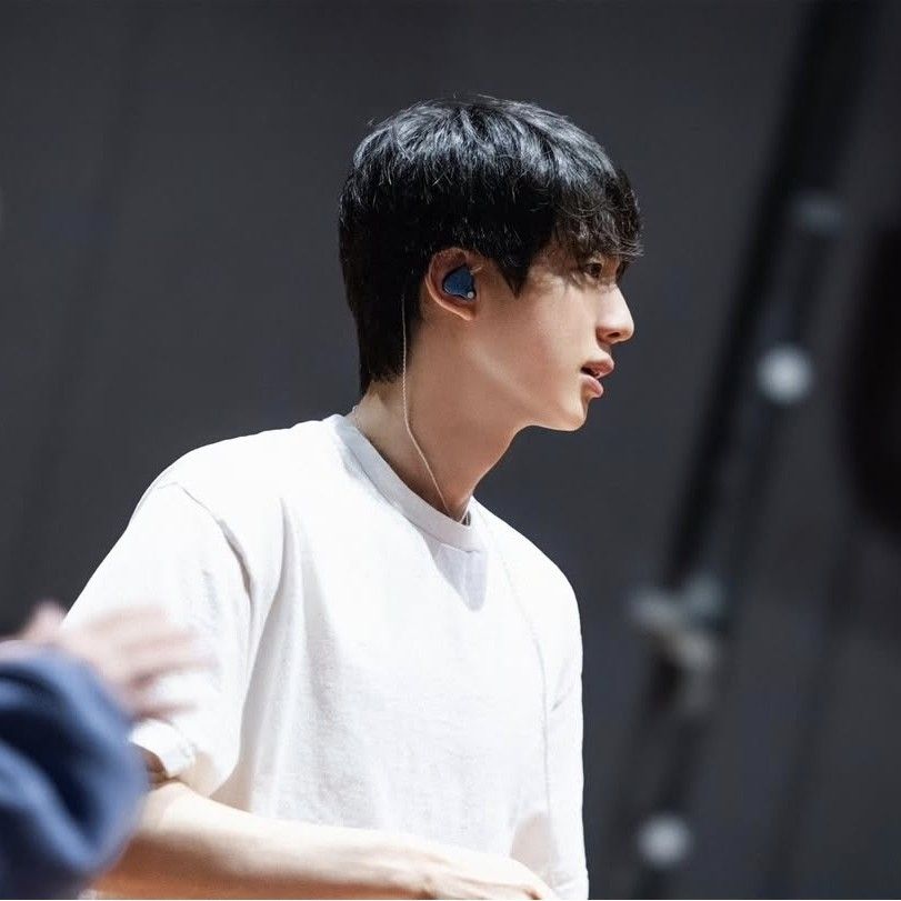 진 (방탄소년단) 팬이 찍은 순간