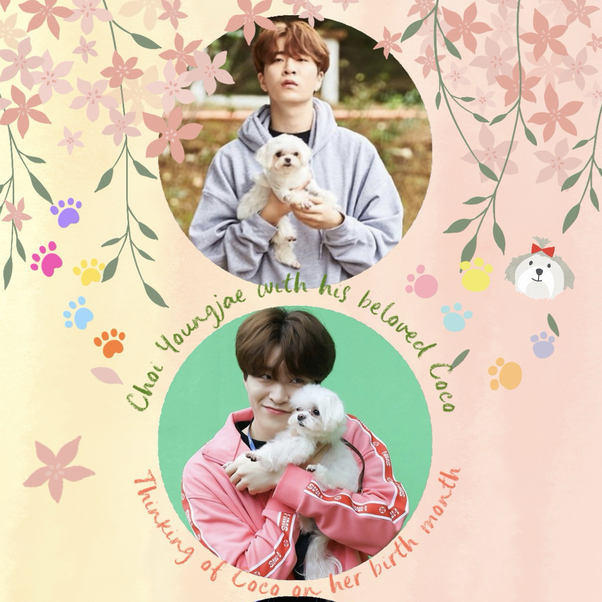 Latest photo of Youngjae (GOT7)