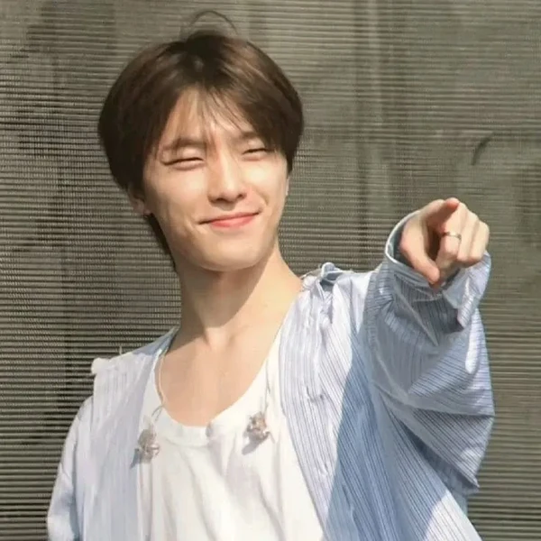 팬들이 사랑하는 디노 (세븐틴)의 인기 프로필 사진