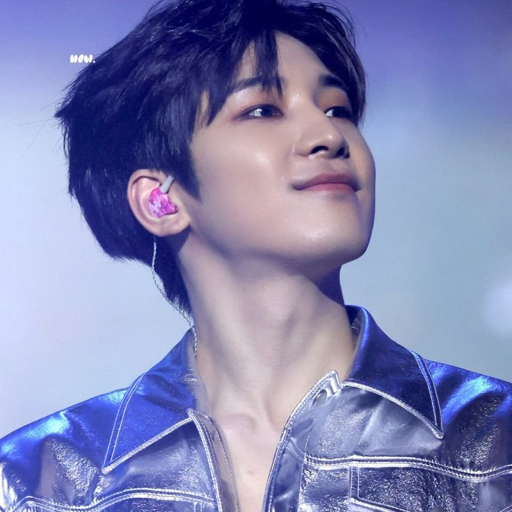 Recent activity shot of Wonwoo (SEVENTEEN)