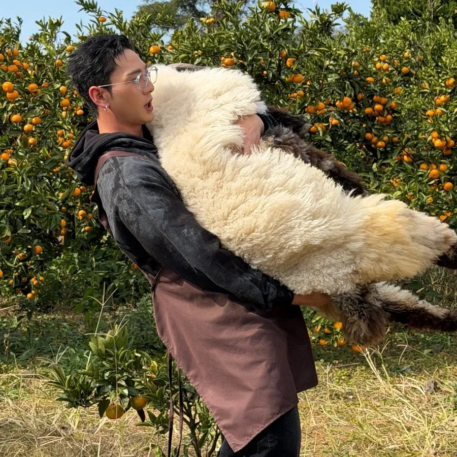 백호 최근 활동샷