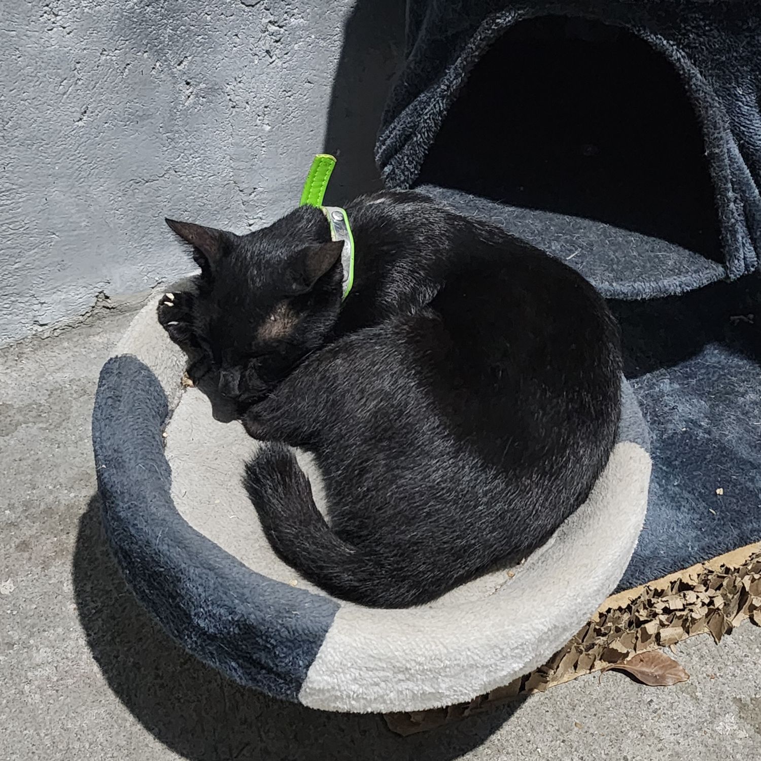 SEVENTEEN的最新照片