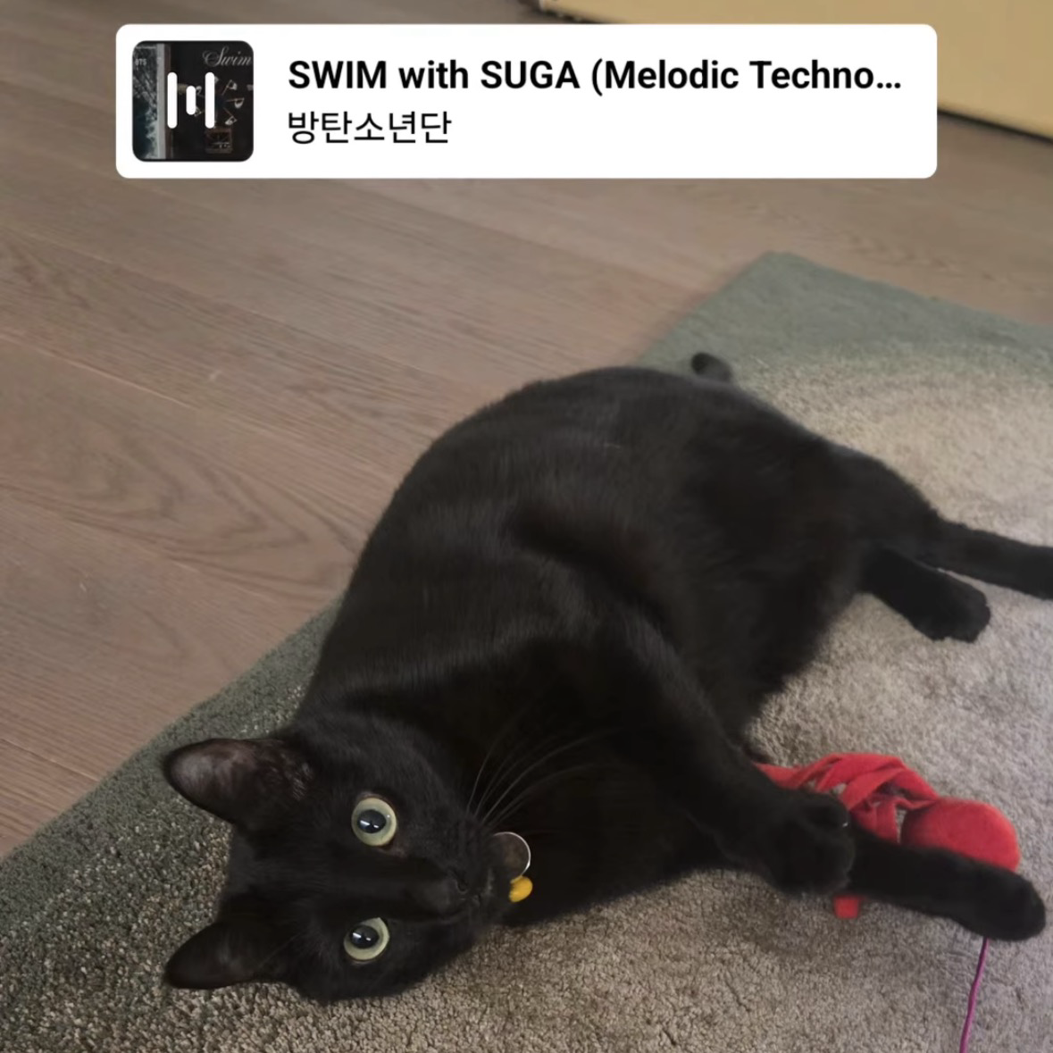 슈가 (방탄소년단) 최근 활동샷