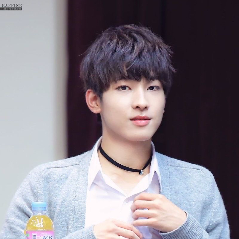 원우 (세븐틴) 팬이 찍은 순간