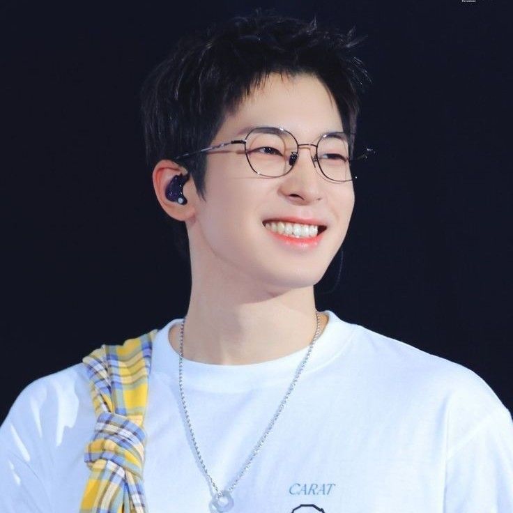 Recent activity shot of Wonwoo (SEVENTEEN)