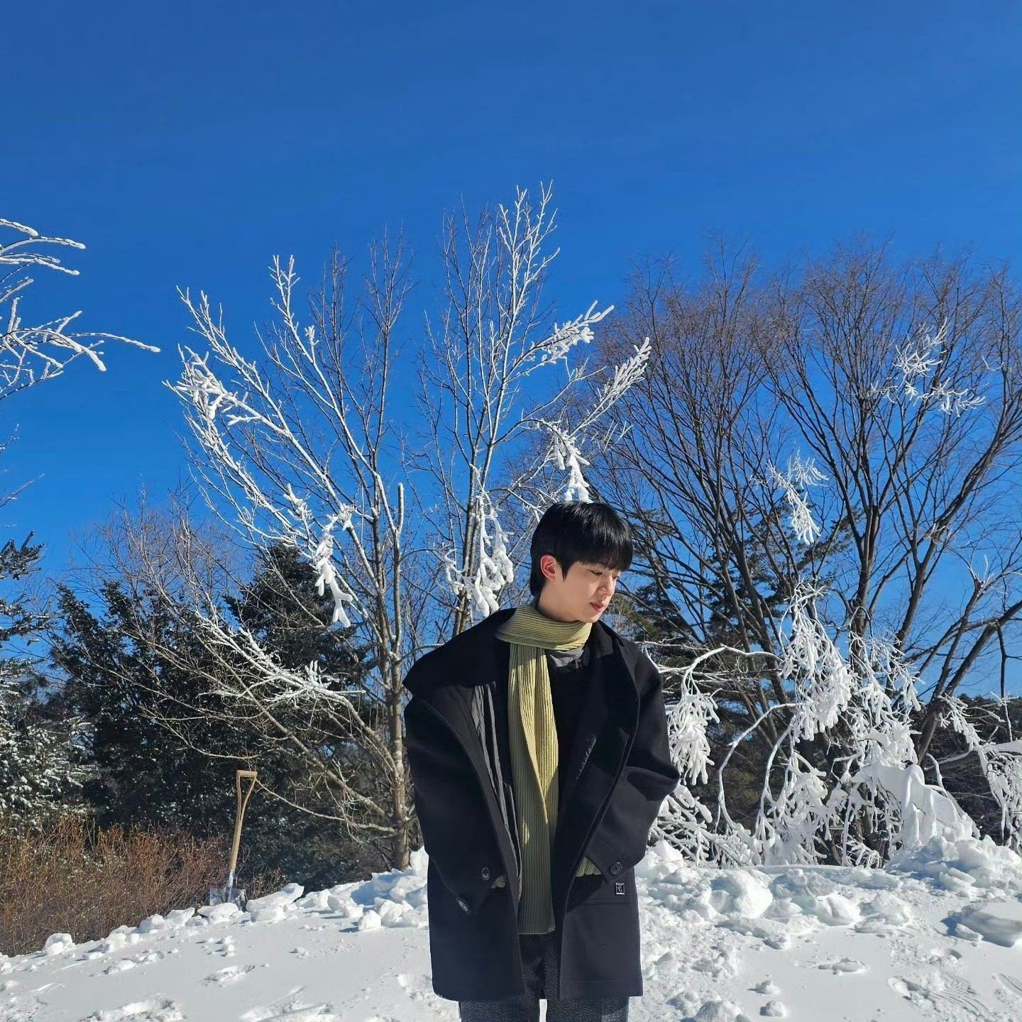 Behind-the-scenes cut of Jin (BTS)