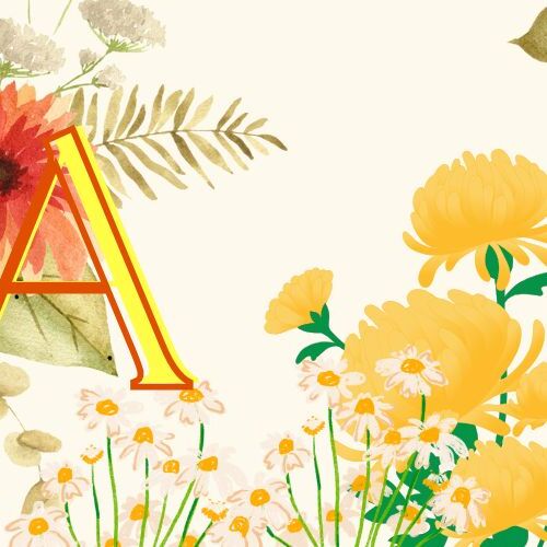 Latest photo of SU A (DREAMCATCHER)