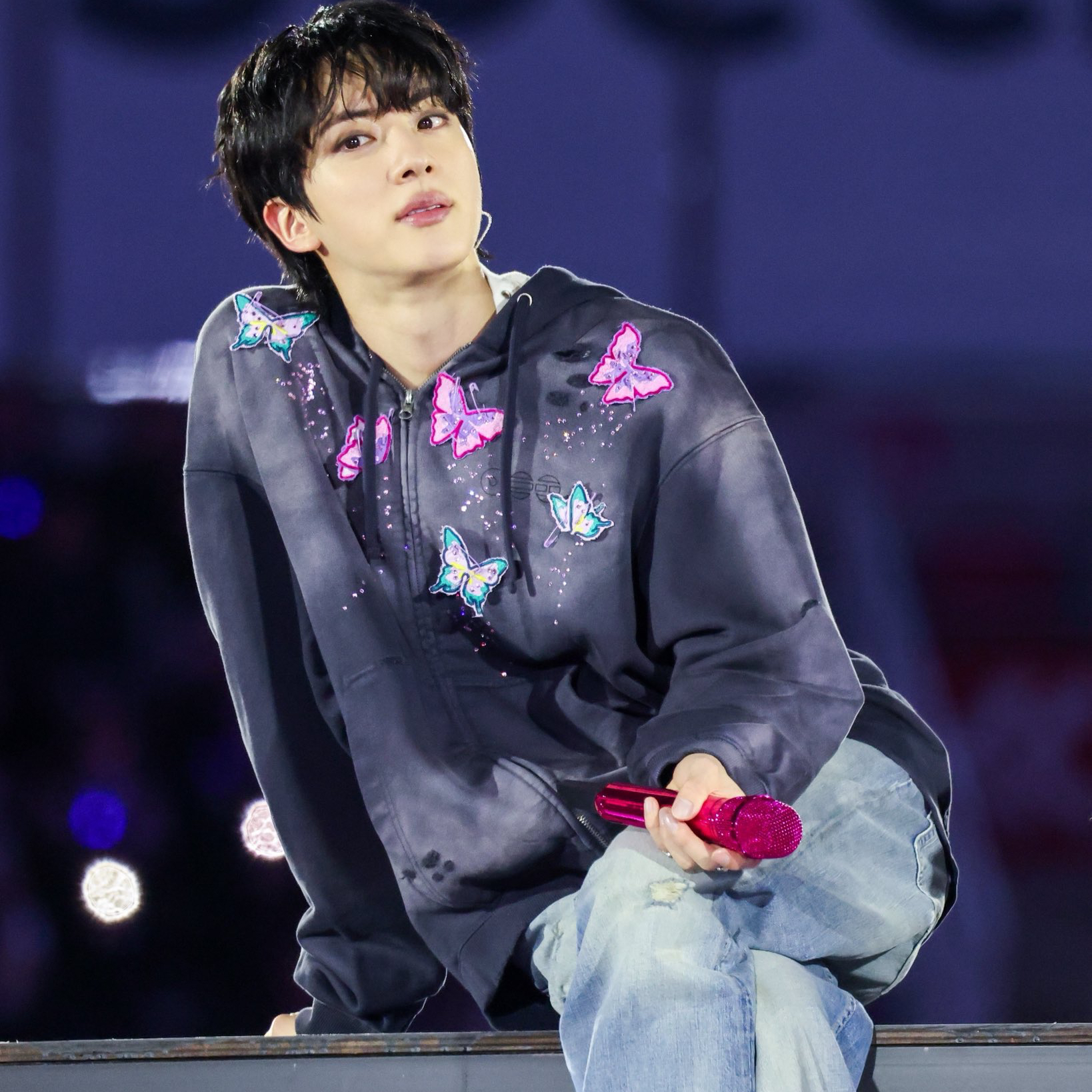 진 (방탄소년단) 팬이 찍은 순간