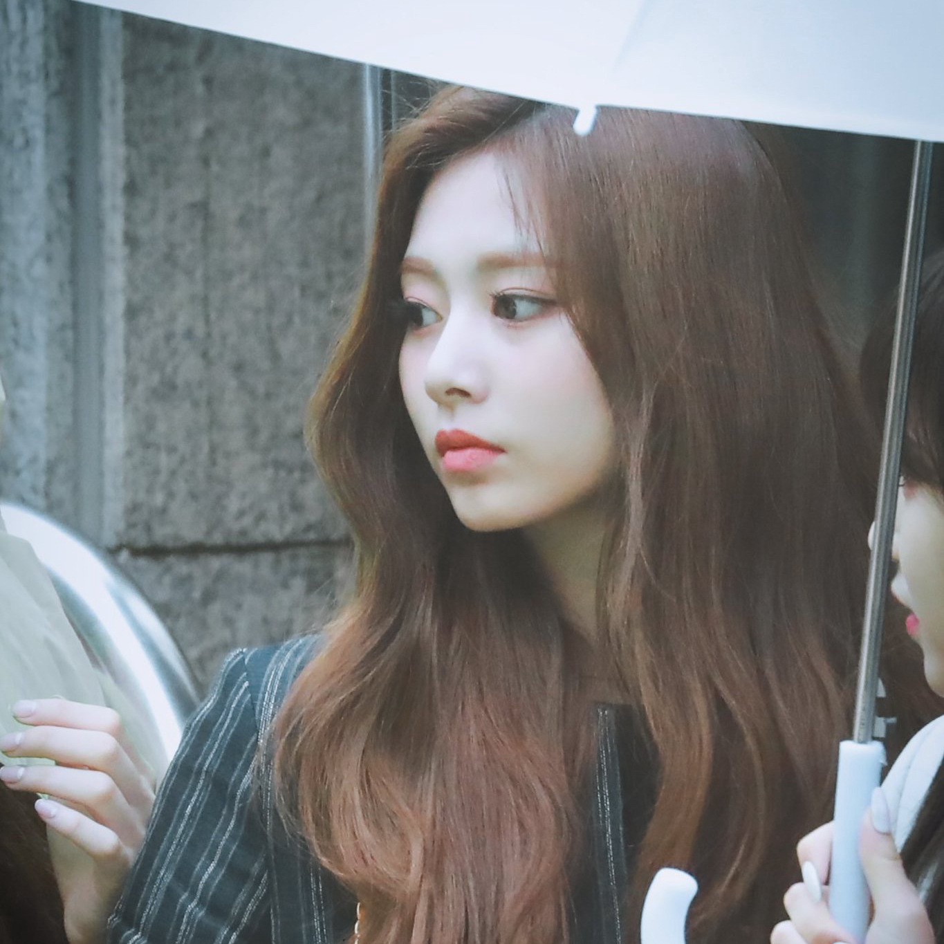 TWICE 팬이 찍은 순간