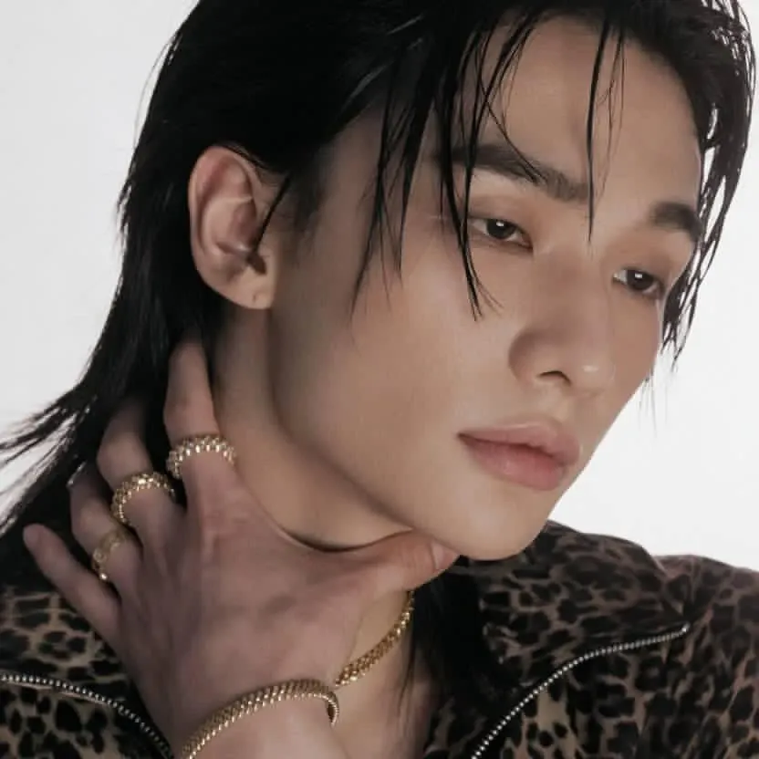 Behind-the-scenes cut of Hyunjin (Stray Kids)