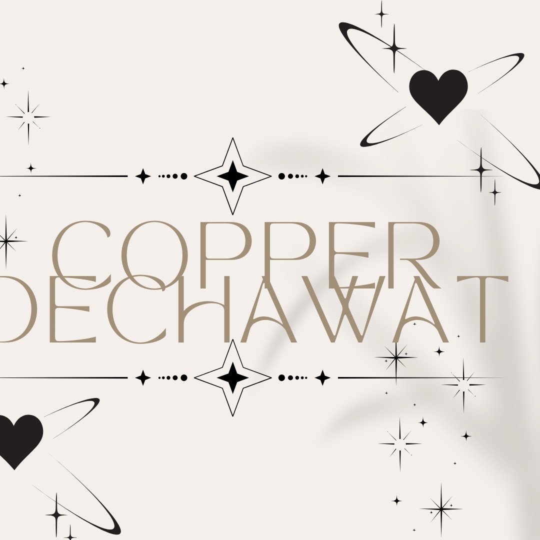 코퍼 (BUS) 팬이 찍은 순간