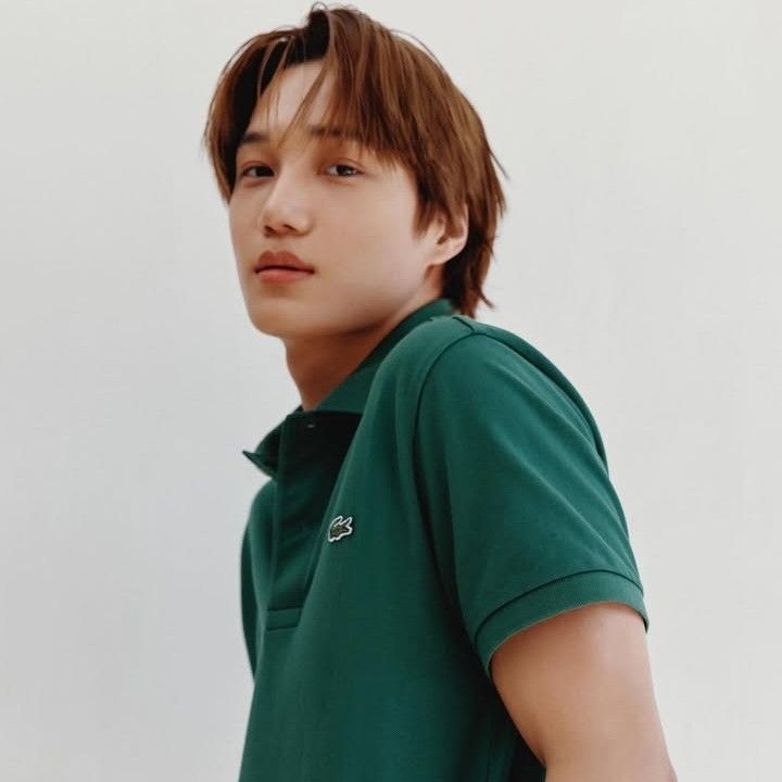 Recent activity shot of EXO