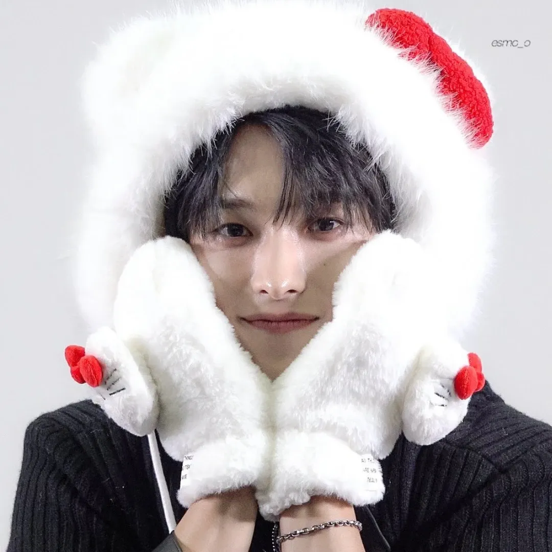 A moment captured by DK (SEVENTEEN)'s fan