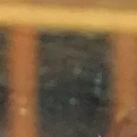 金佳蓝的最新活动照片