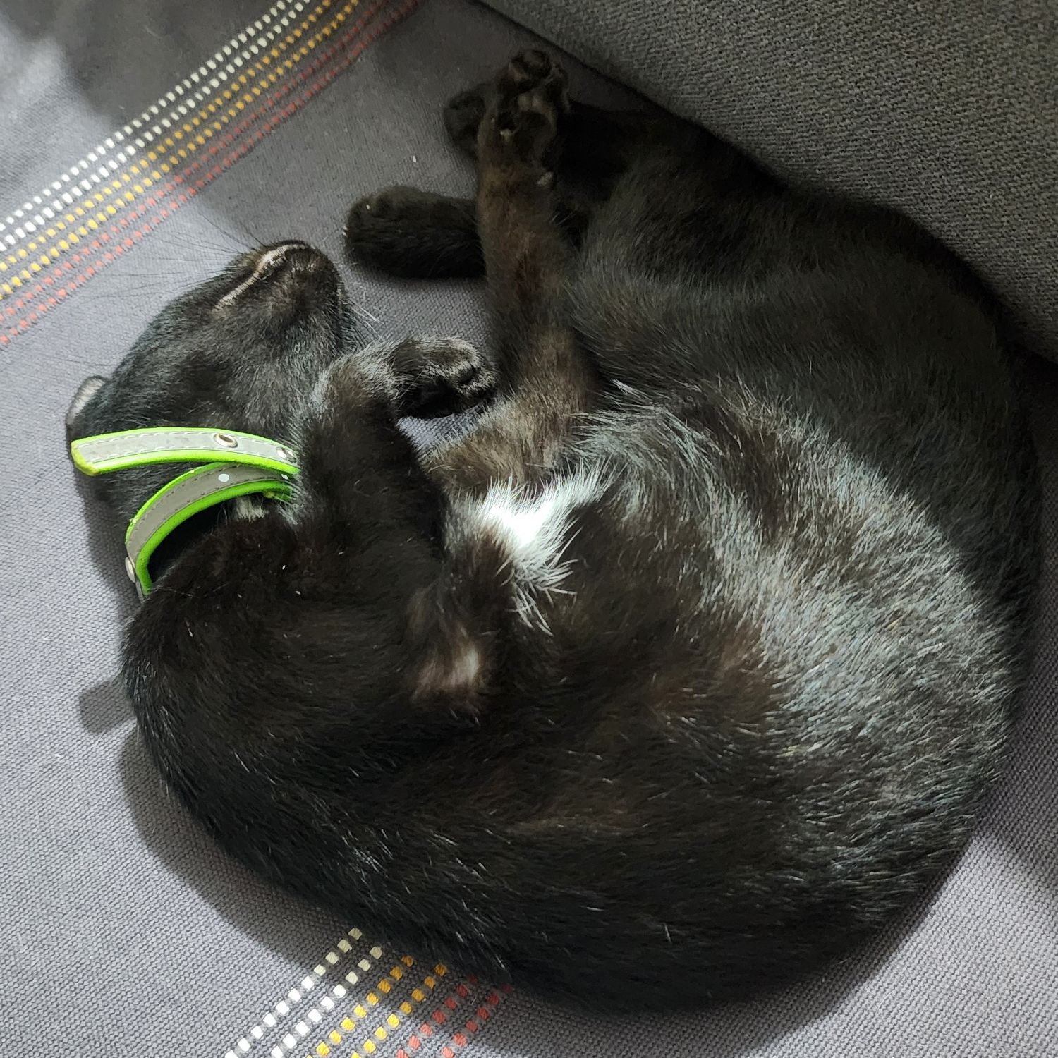 Recent activity shot of SEVENTEEN