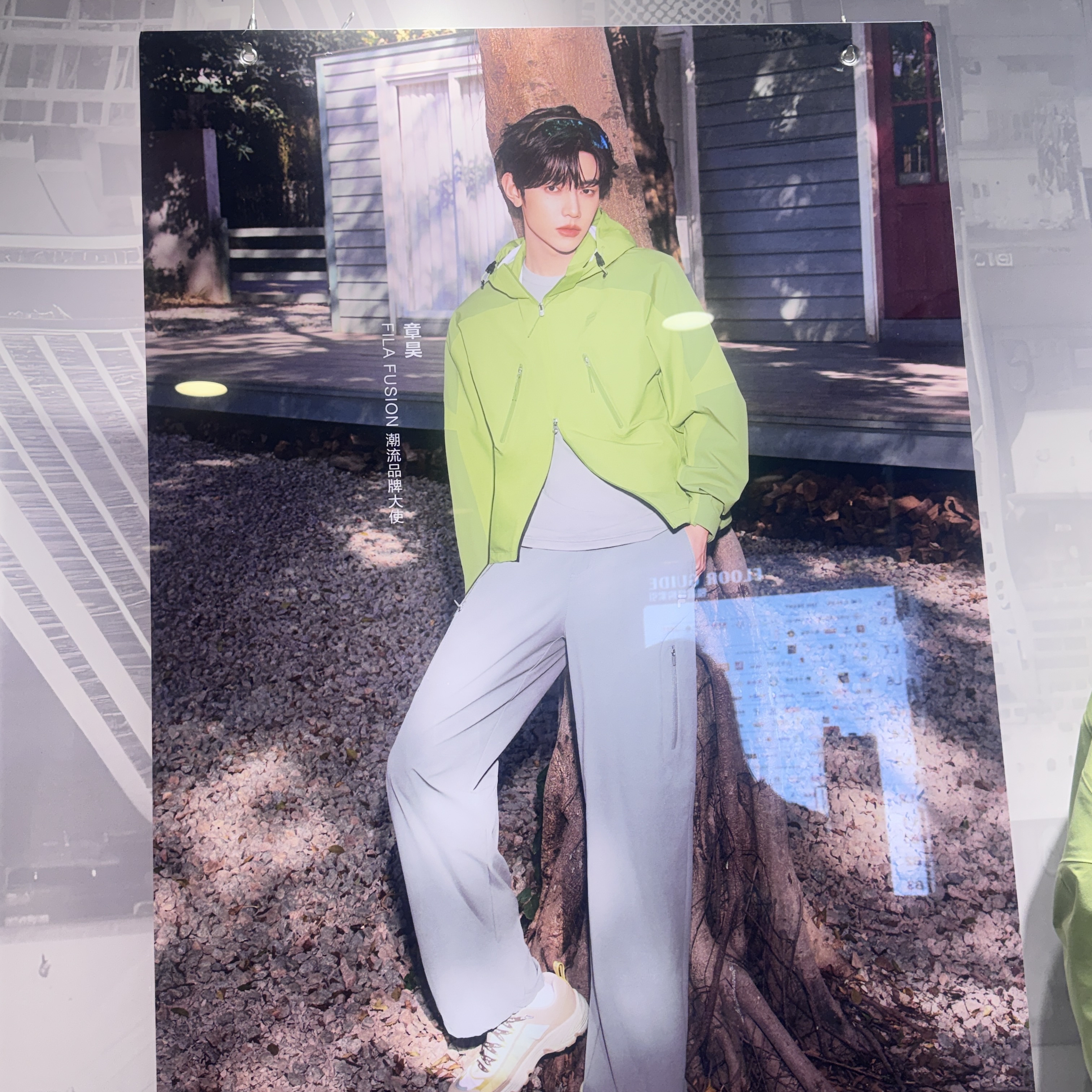 章昊的最新照片