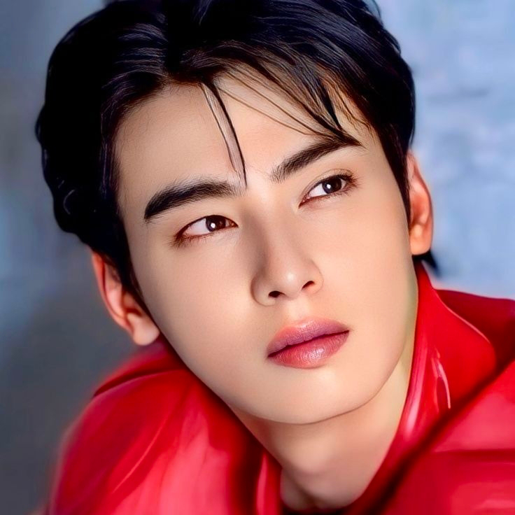 A moment captured by Eunwoo (ASTRO)'s fan