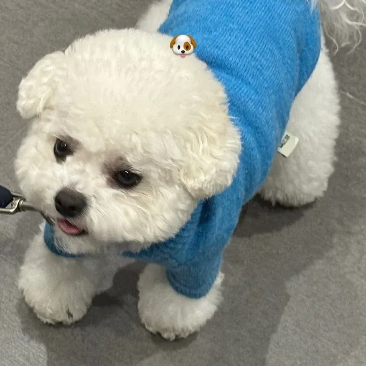 A moment captured by Eunwoo (ASTRO)'s fan