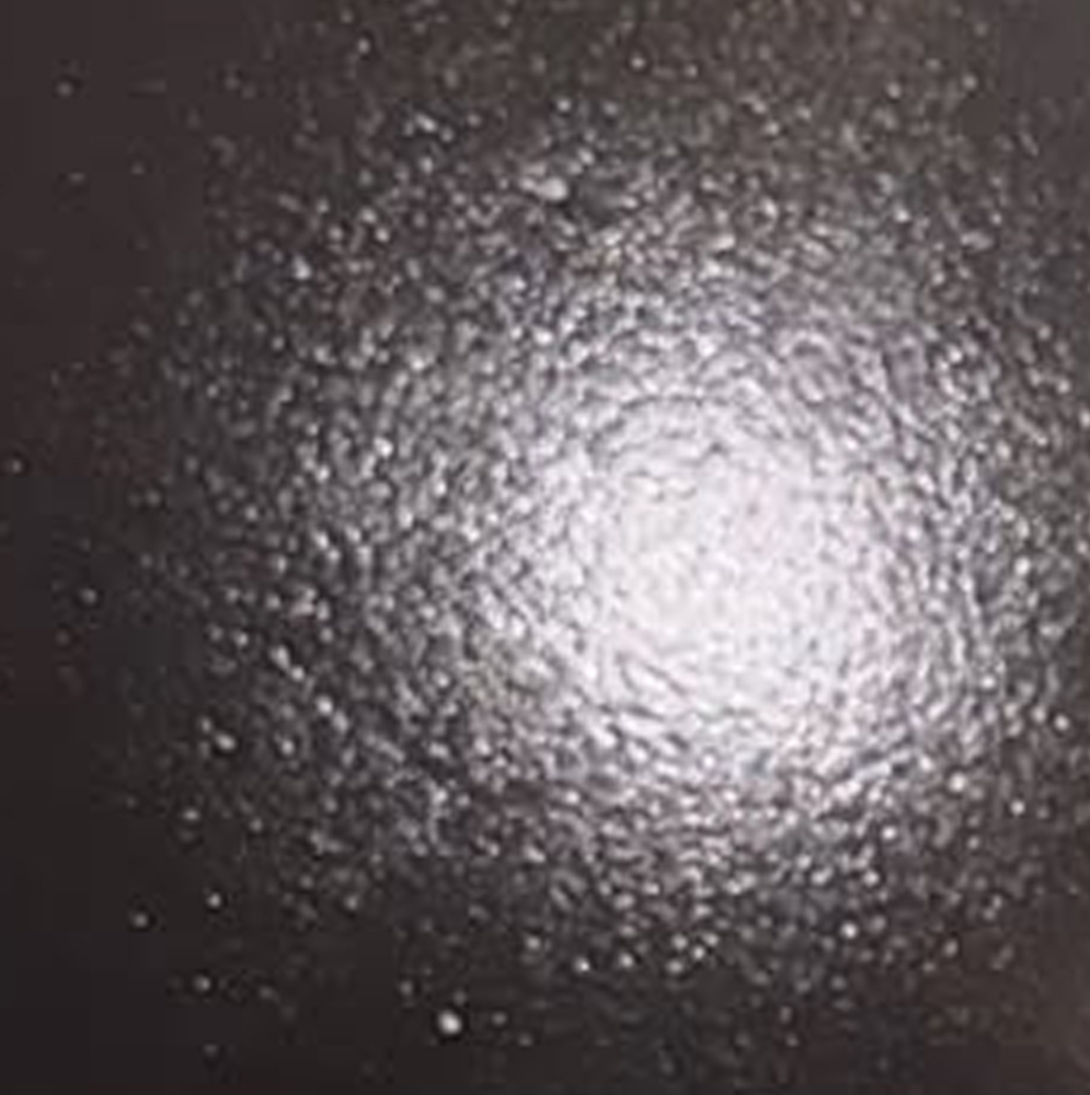 A moment captured by HaSeul (ARTMS)'s fan