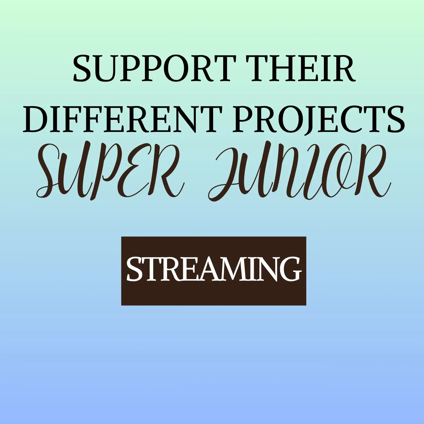 Momen yang diabadikan oleh penggemar Super Junior