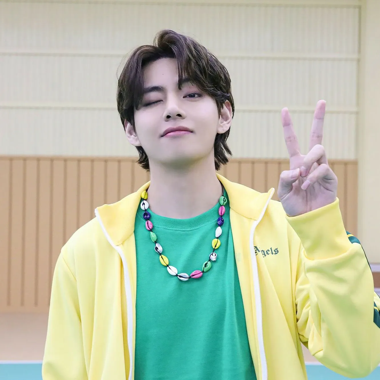 Behind-the-scenes cut of V (BTS)