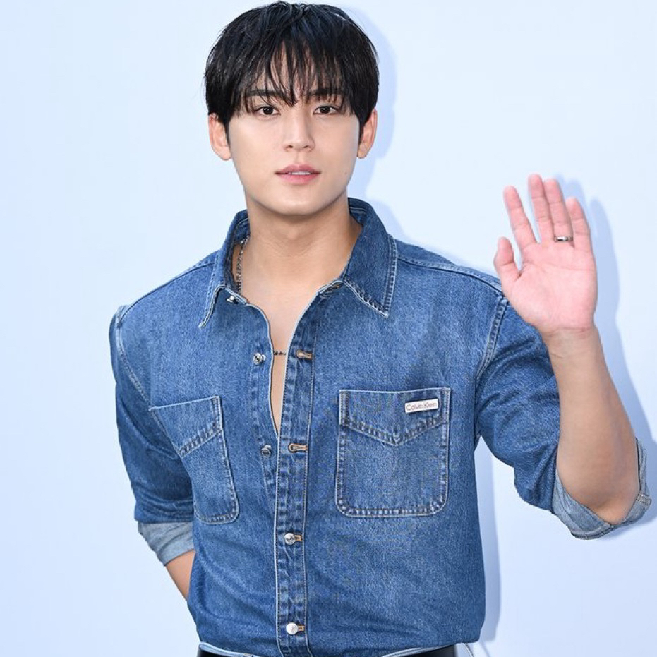 Recent activity shot of Mingyu (SEVENTEEN)
