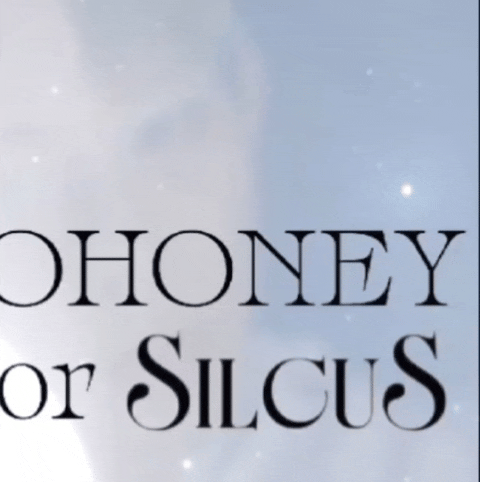 몬스타엑스 팬이 찍은 순간