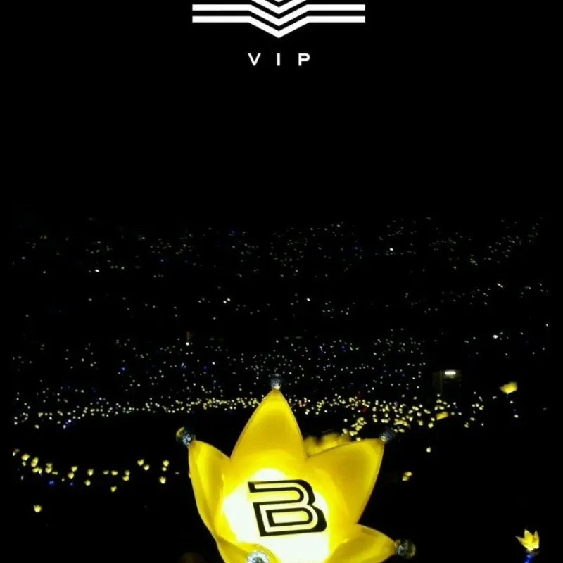 Momen yang diabadikan oleh penggemar BIGBANG
