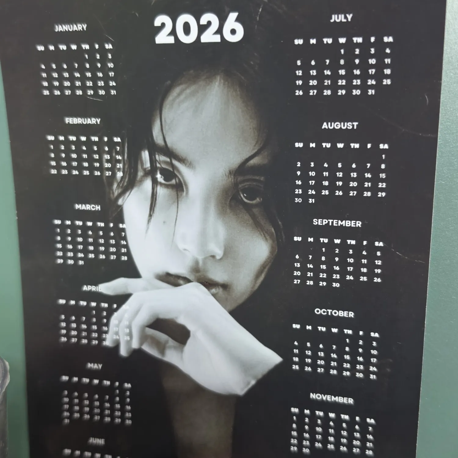 세븐틴 팬이 찍은 순간