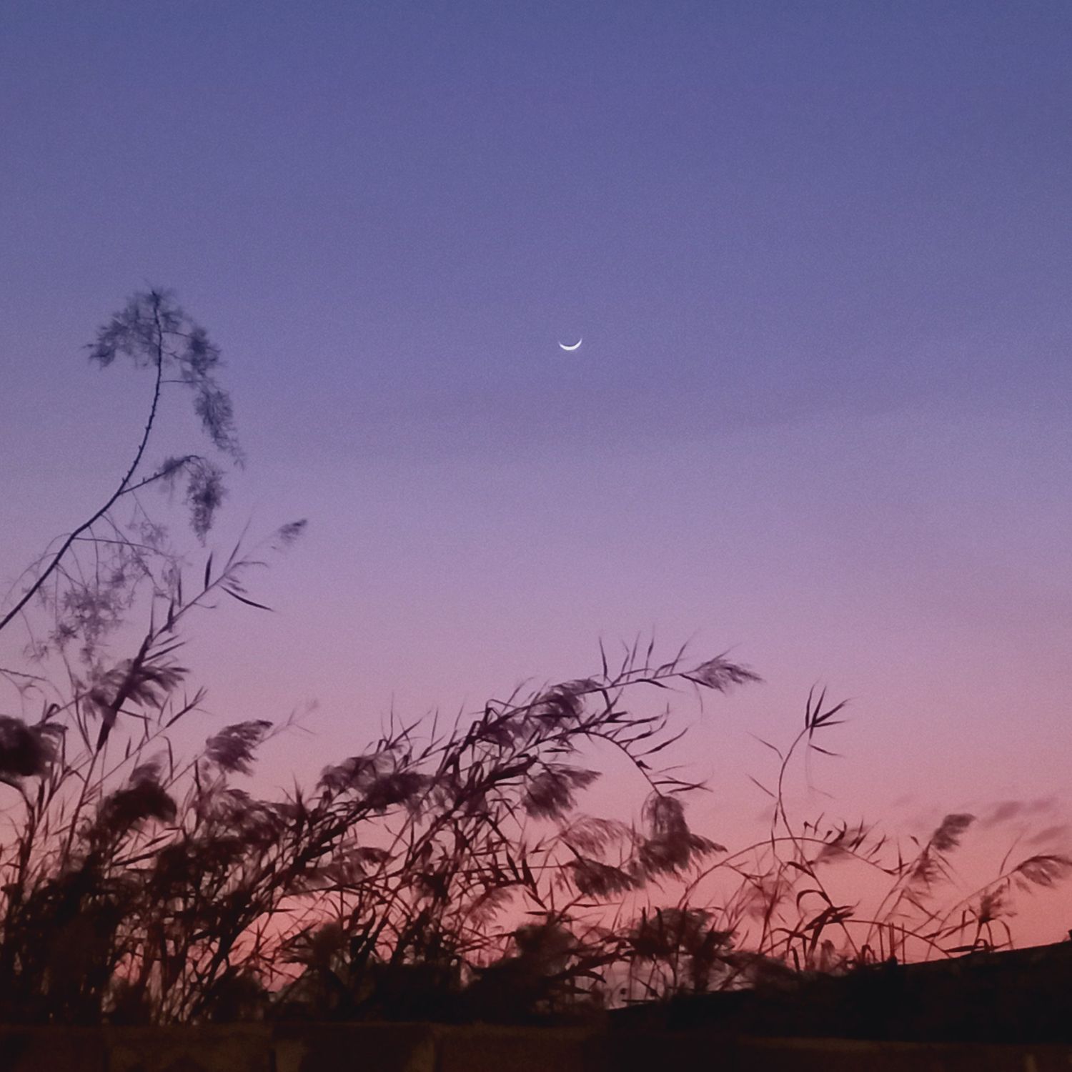 Behind-the-scenes cut of EXO