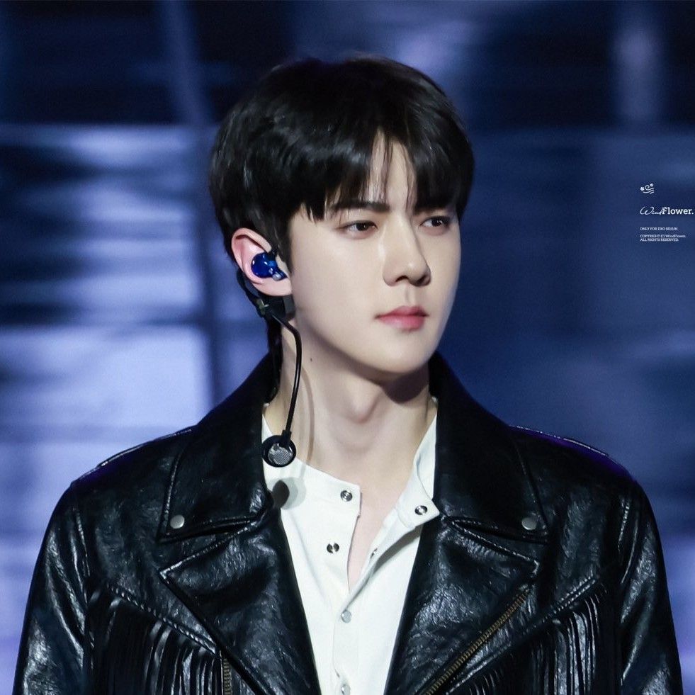 世勳 (EXO)的最新活動照片