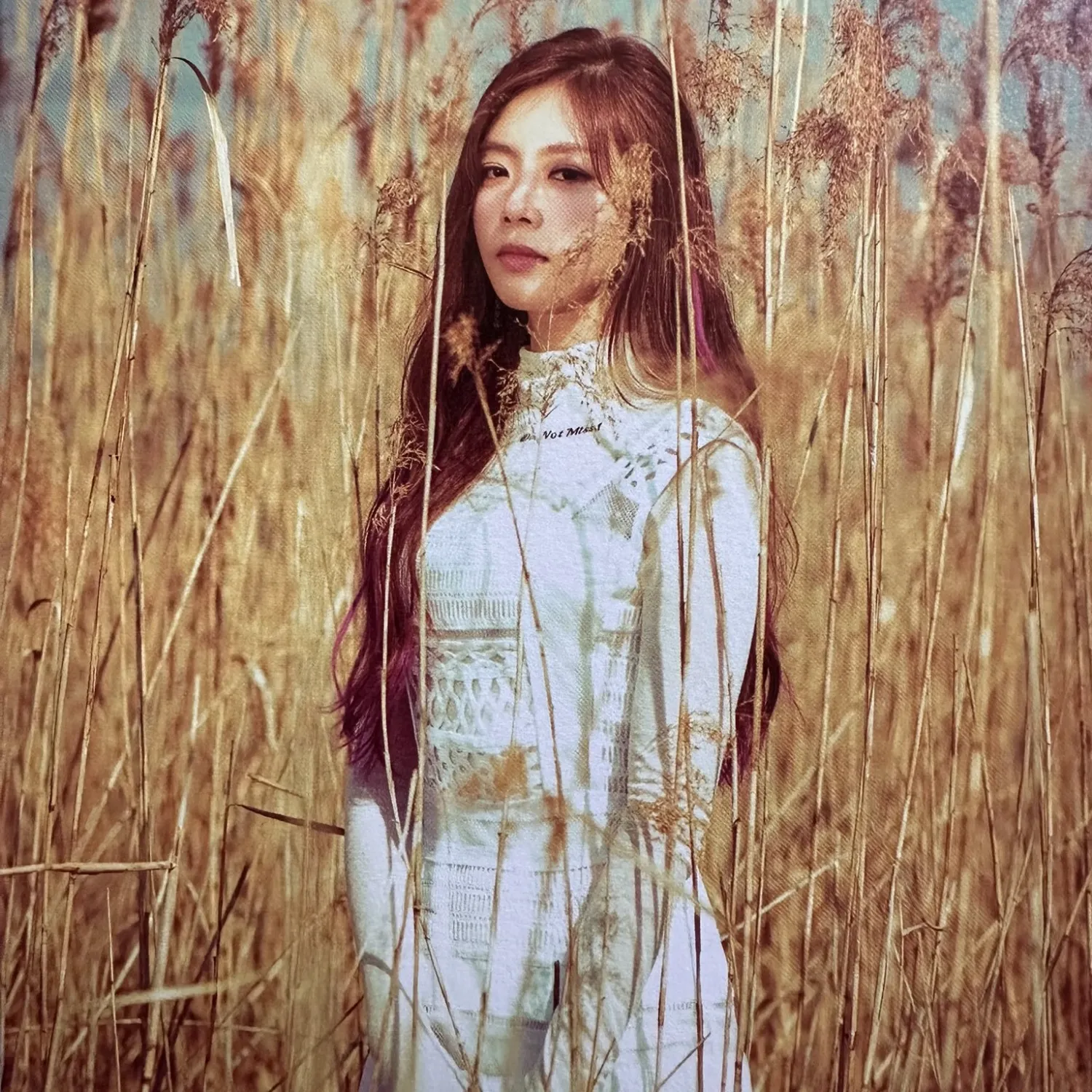 DREAMCATCHER的最新活動照片