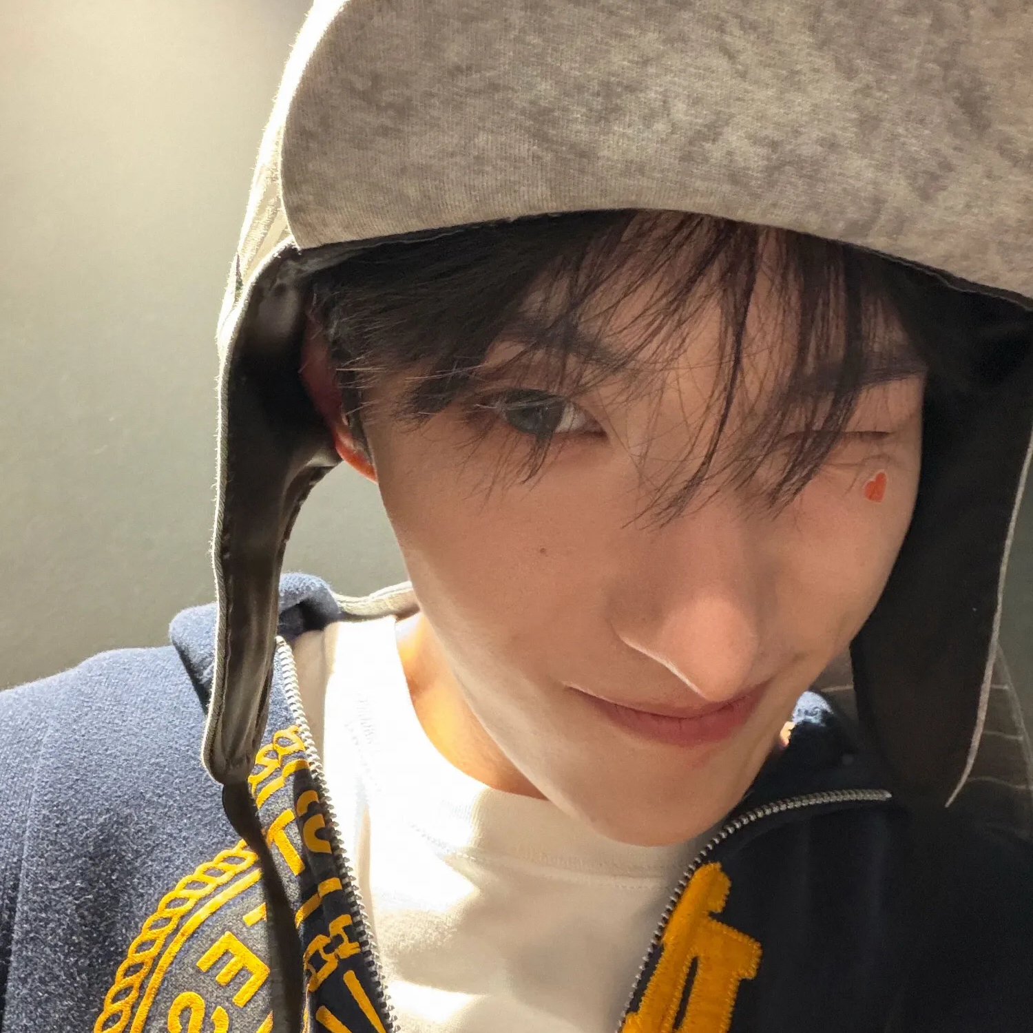 A moment captured by DK (SEVENTEEN)'s fan