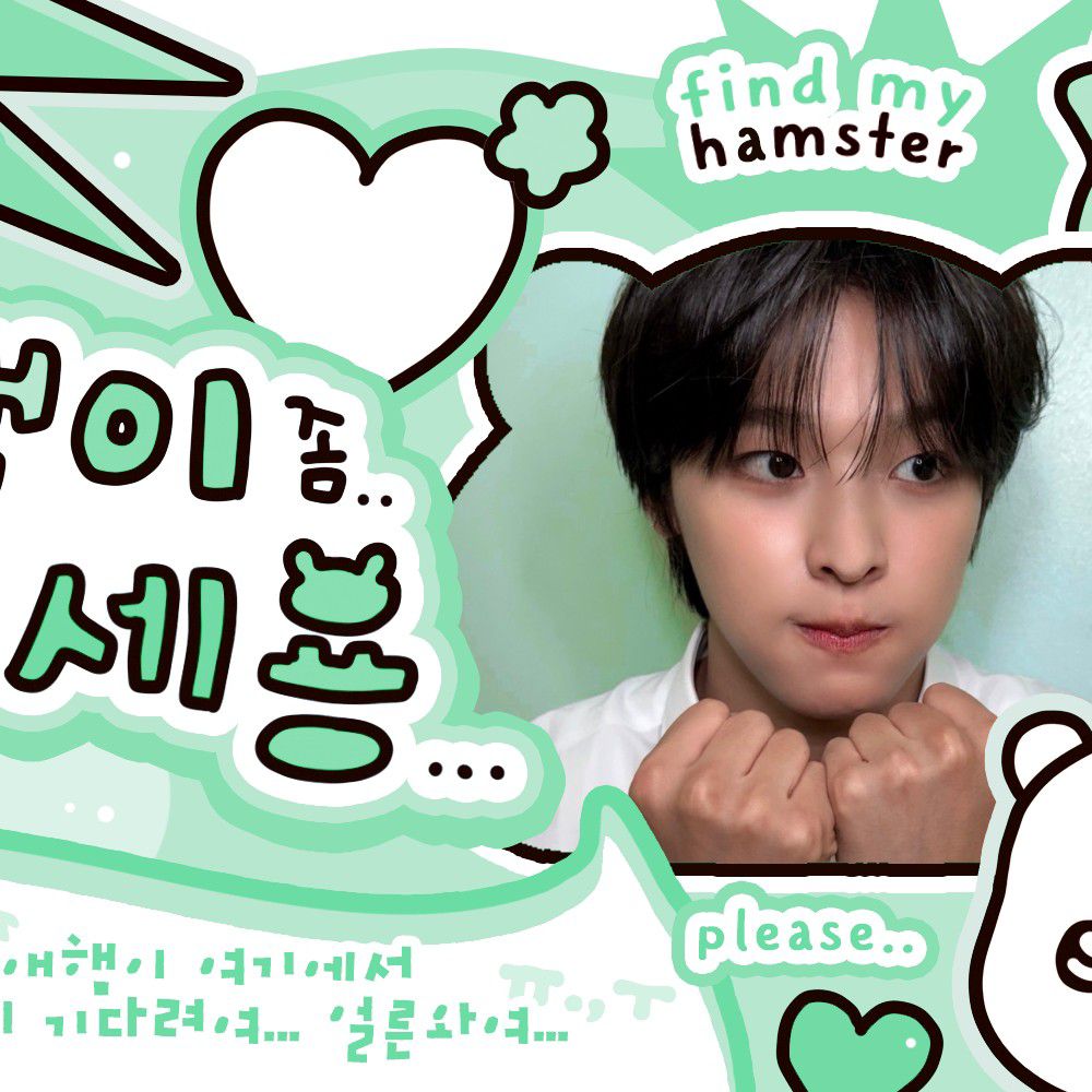 Recent activity shot of NCT WISH