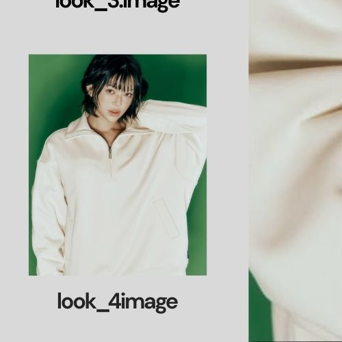 A moment captured by AleXa's fan