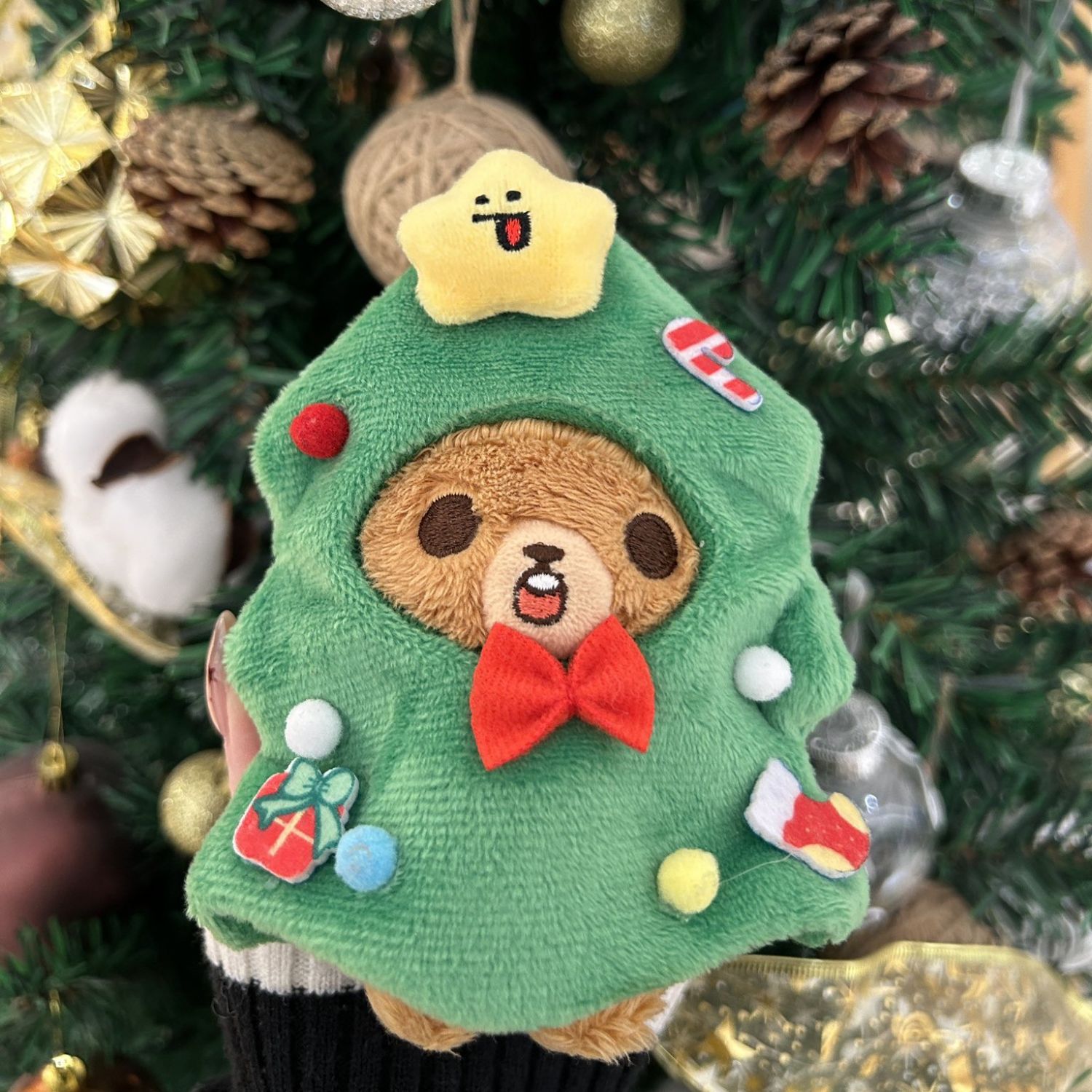 Latest photo of Haechan (NCT 127, NCT DREAM)