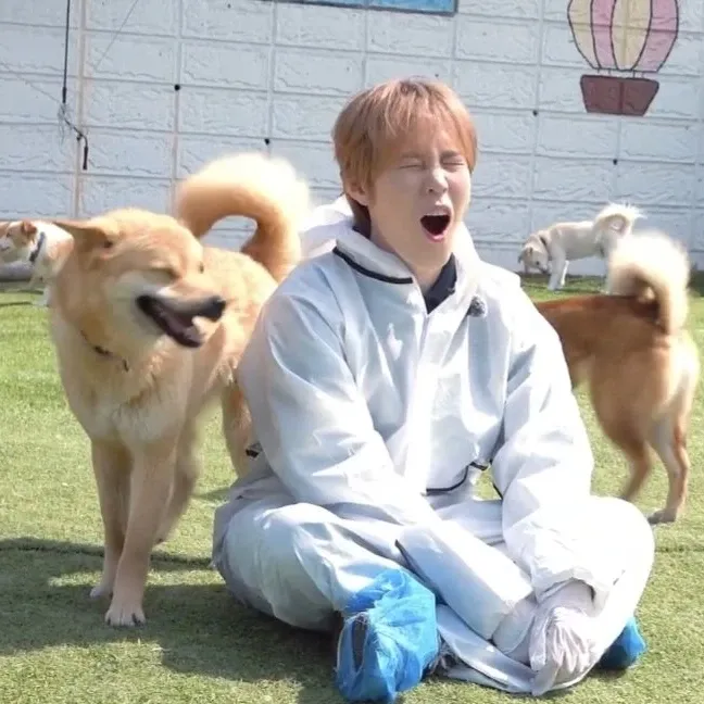 Behind-the-scenes cut of Ha Sungwoon