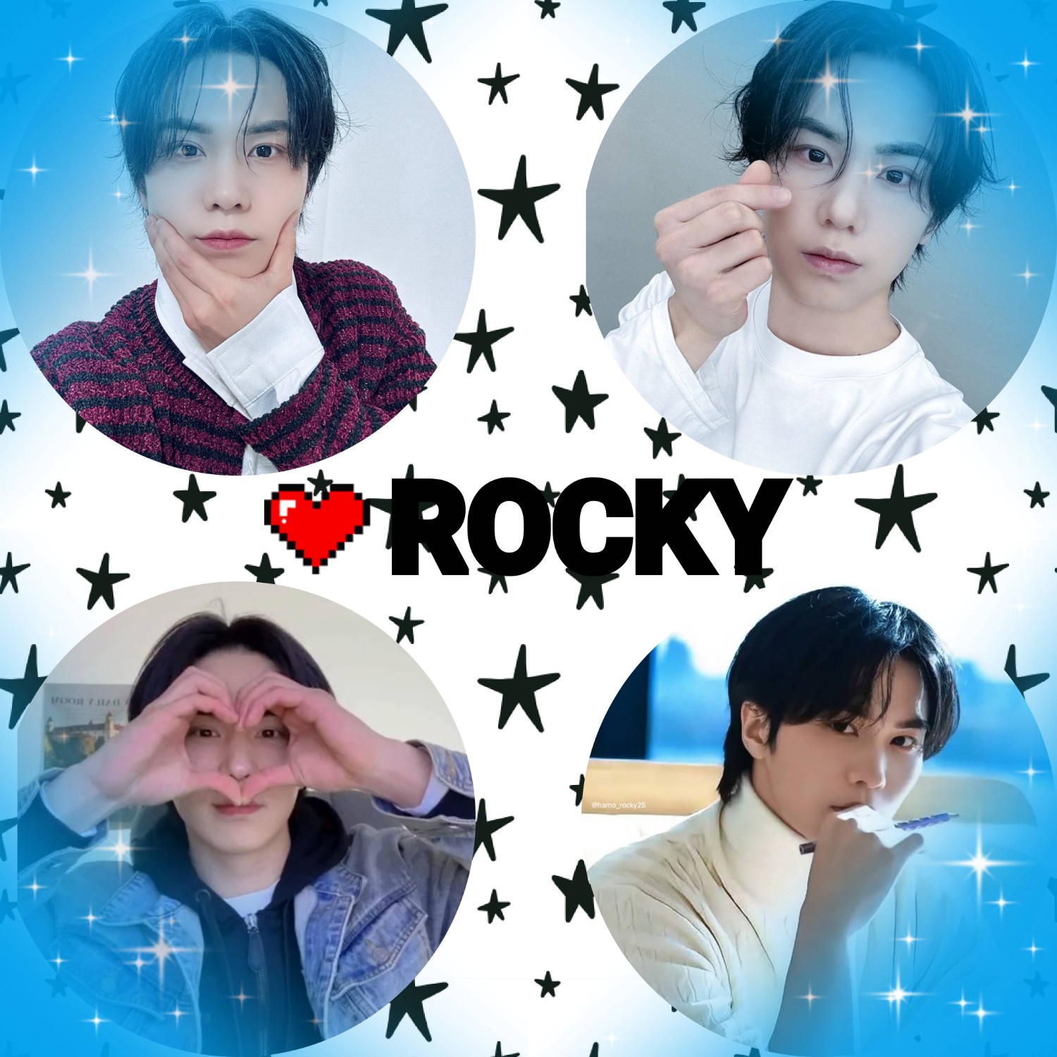 Recent activity shot of Rocky