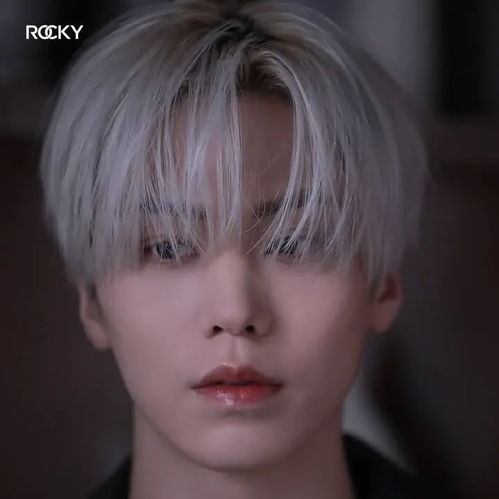 Recent activity shot of Rocky