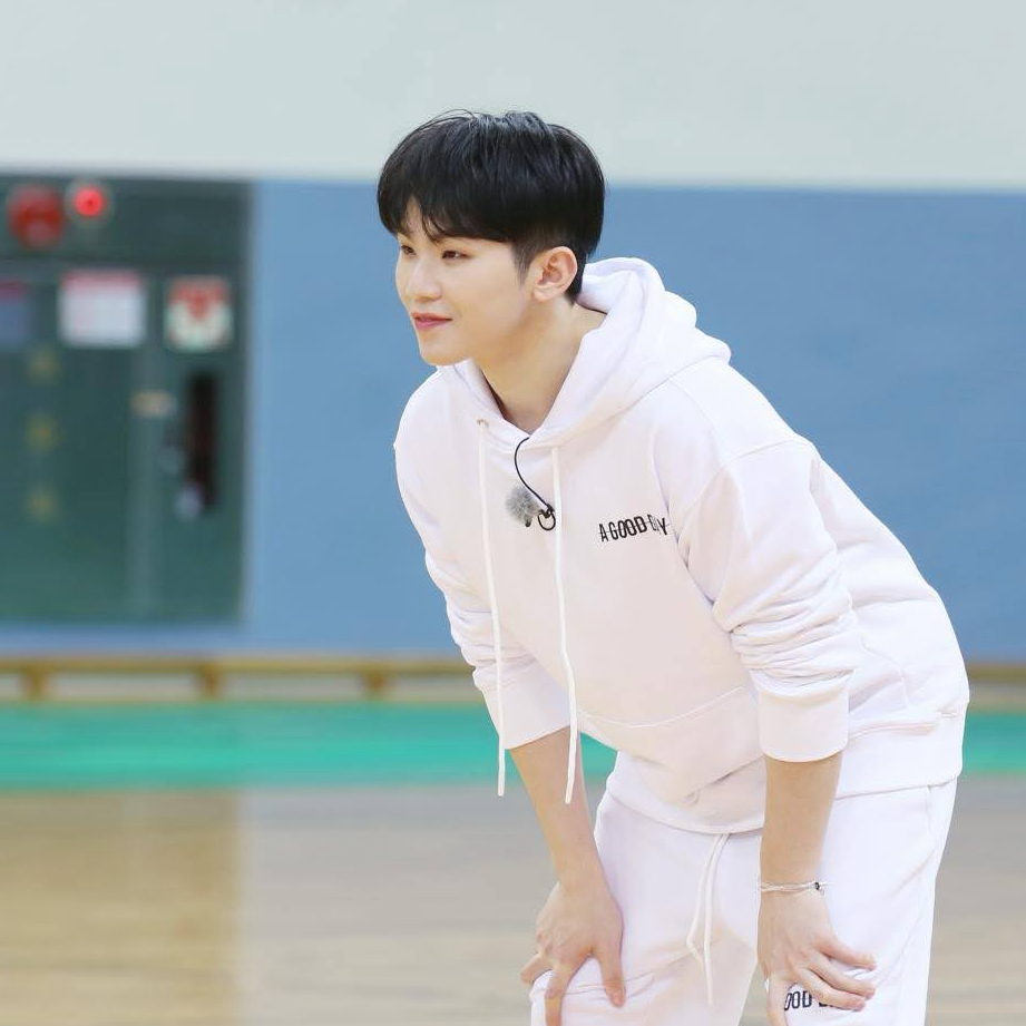 세븐틴 팬이 찍은 순간
