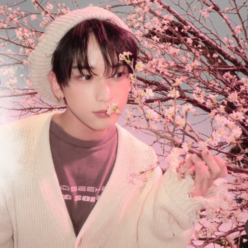 A moment captured by Harua (&TEAM)'s fan